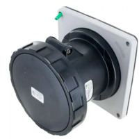 Pin and Sleeve Receptacle - 60A, 277V, 5H, 2-Pole 3-Wire Grounding, Watertight (IP67), Grey