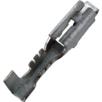 OEM TERM #12034046 10PK