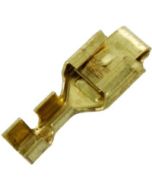 OEM TERM #2962447 10PK