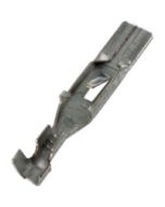 OEM TERM #12020126 10PK