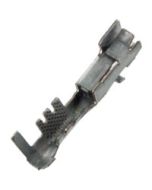 OEM TERM #12124075 10PK