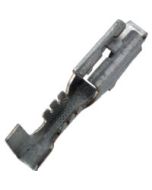 OEM TERM #12034046 10PK